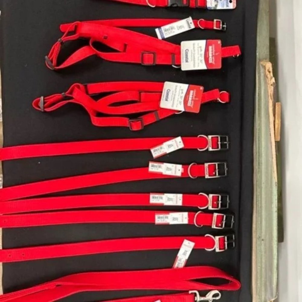 Harnesses and Collars - Picture 8 of 10